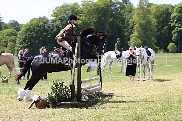 IMG_3688 - Working Hunter