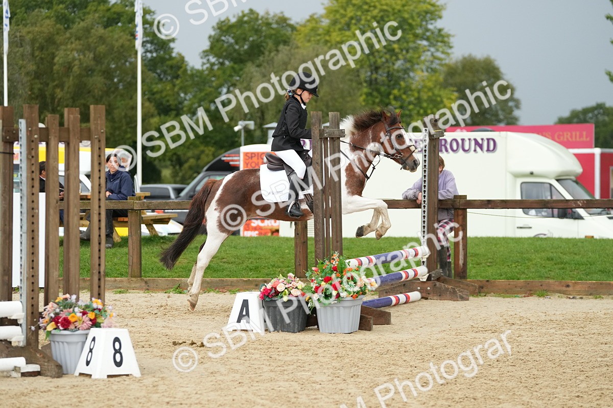 SBM_33470 - J5 - Junior Pony 50cm Championship