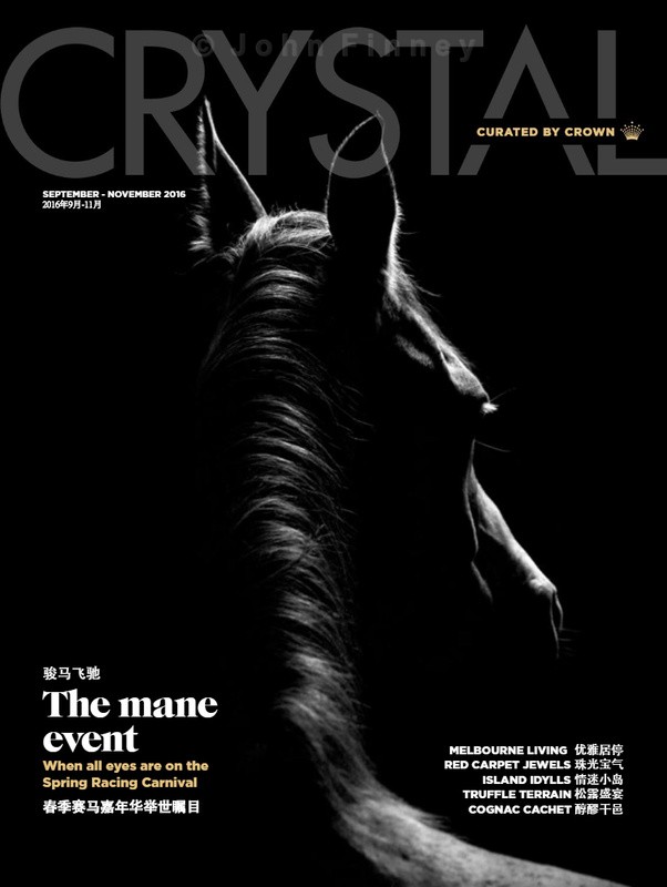 Stallion - Awarded and Published