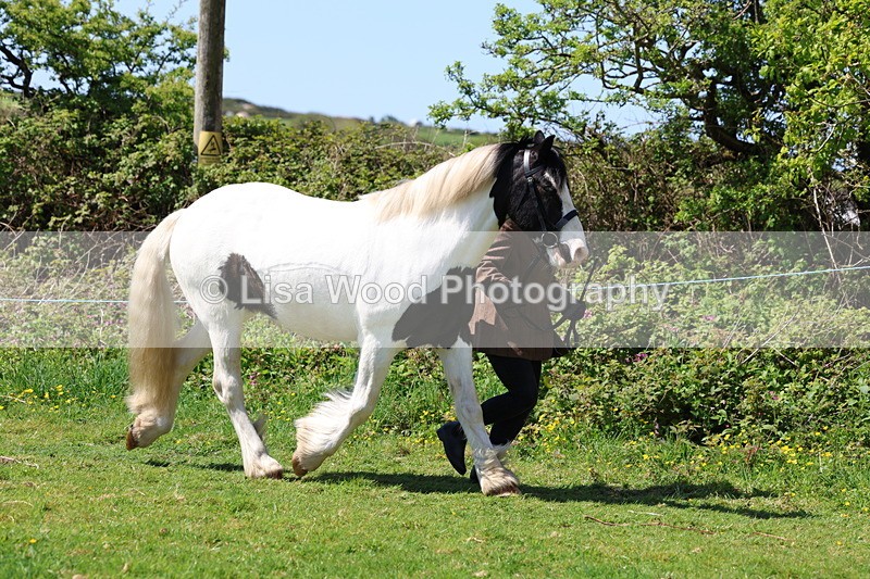 3E7A0255 - Class 19: Best Coloured in Hand