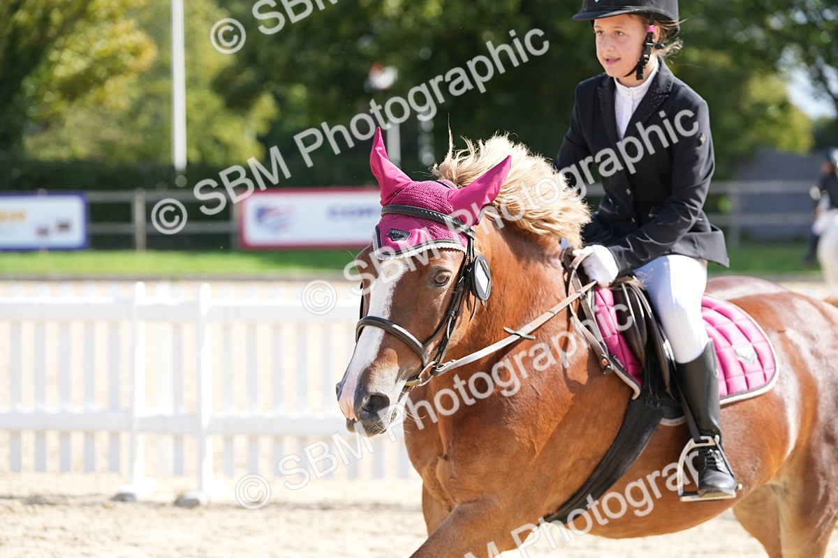 SBM_18013 - J58 - Clear Round 50cm