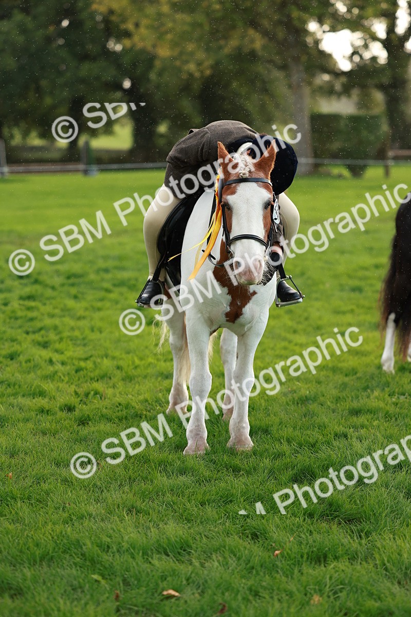 SBM_28904 - S7 - Novice & Newcomer Ridden Pony