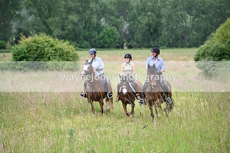 WJ6_8453 - Camera 1 Gallops