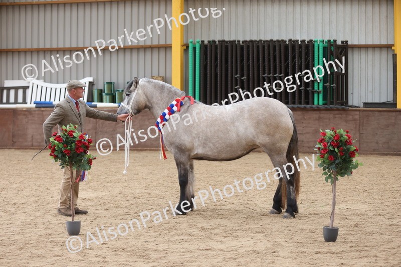 20251109-1238 - Supreme Championship