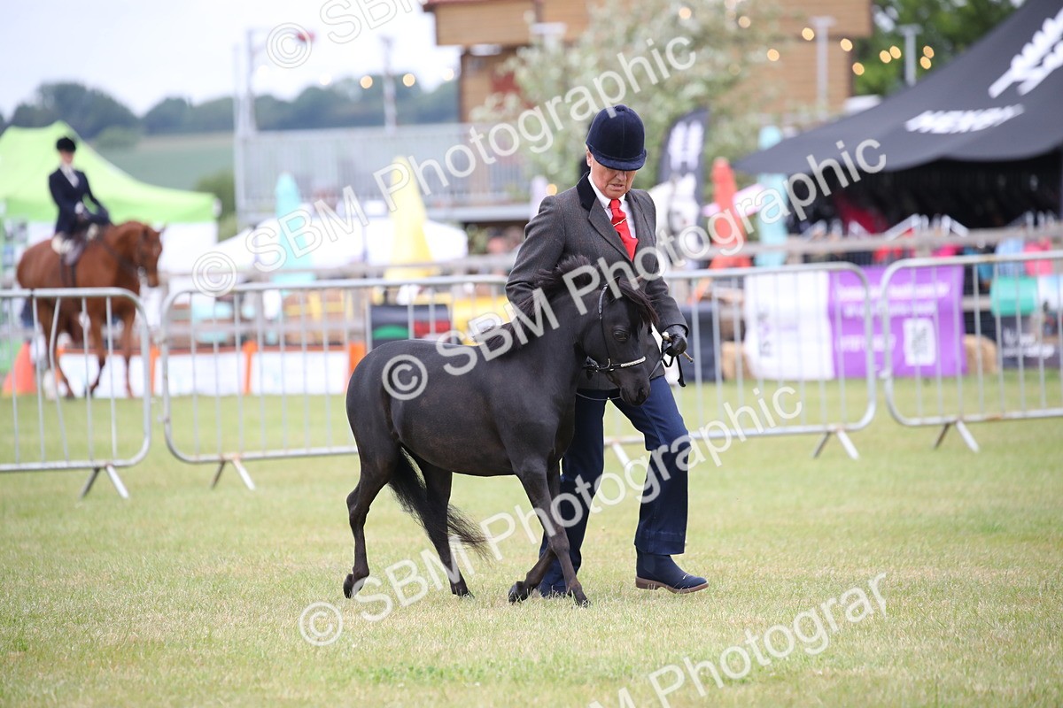 SBM_03492 - Class 23-25 - British Miniature Horse of the Year