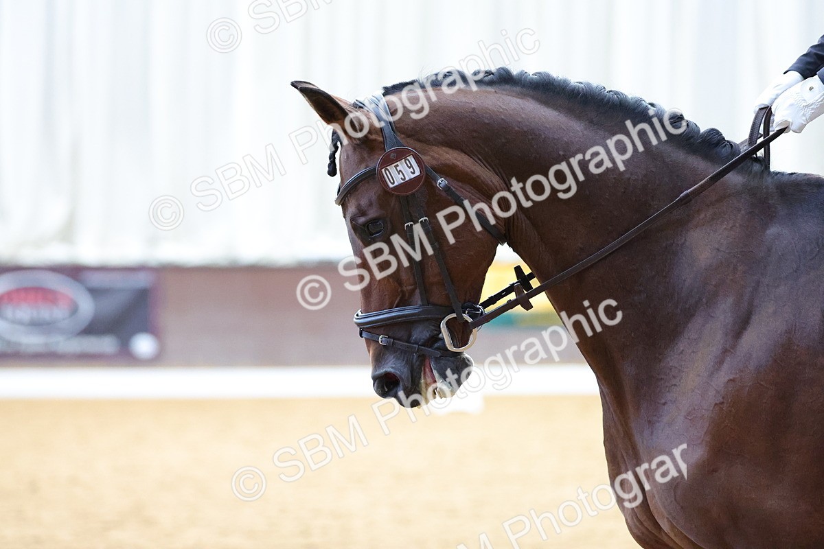 SBM_000554 - Class 2 - P5