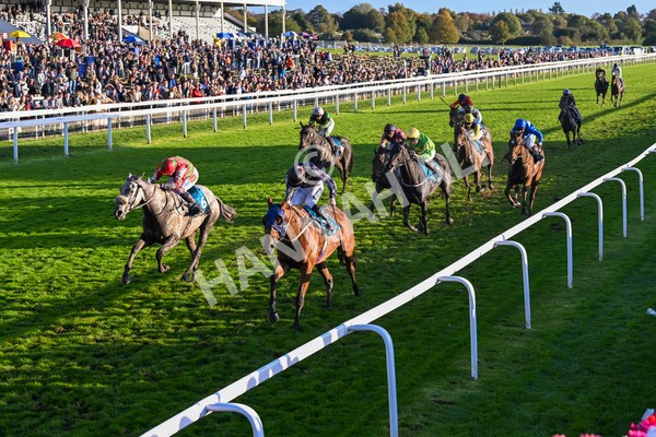 121024-Race 7-Two Brothers-3601 - Race 7 5.05pm Coral Committed To Safer Gambling Finale Handicap