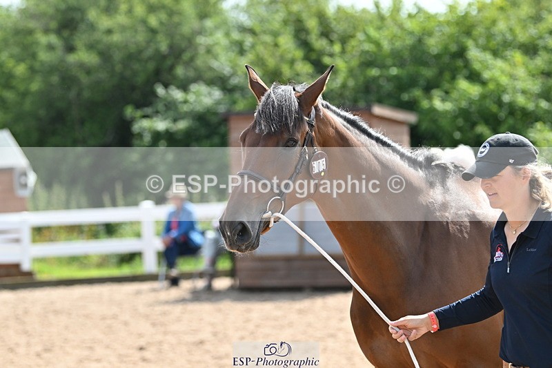 240717A-154531-03044 - Trot Up 3pm to 4pm