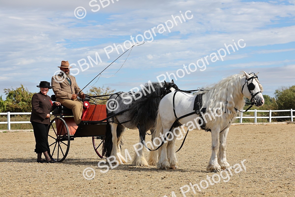 SBM_001248 - Class 16 - Pairs ,Multiples and Tandems