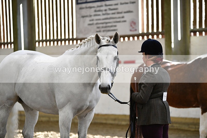 WJ5_4026 - Class 2 Best Condition In hand