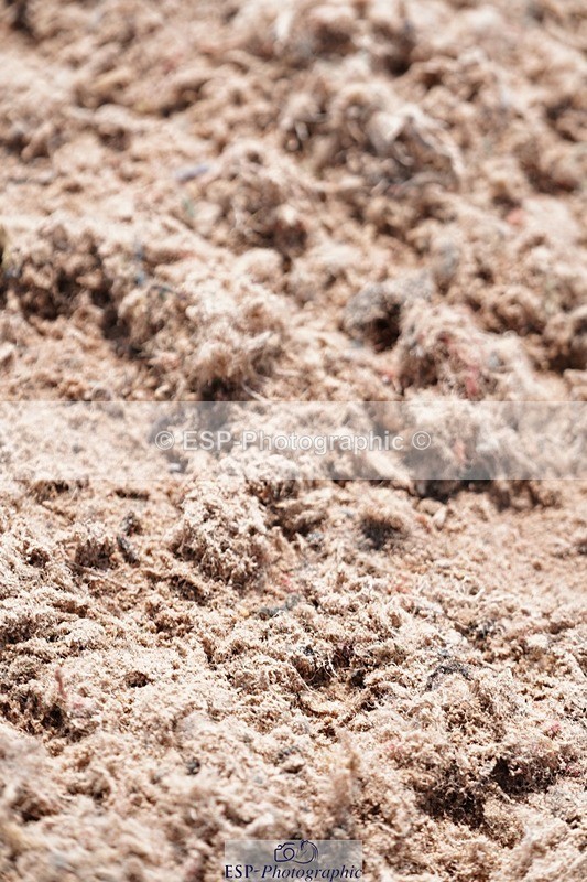 250511-141548-14230 - Cls 34 1.05m Amateur Quali