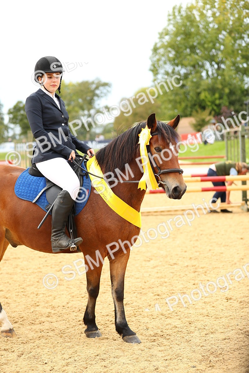 SBM_71292 - J18 - Junior Pony 85cm Championship