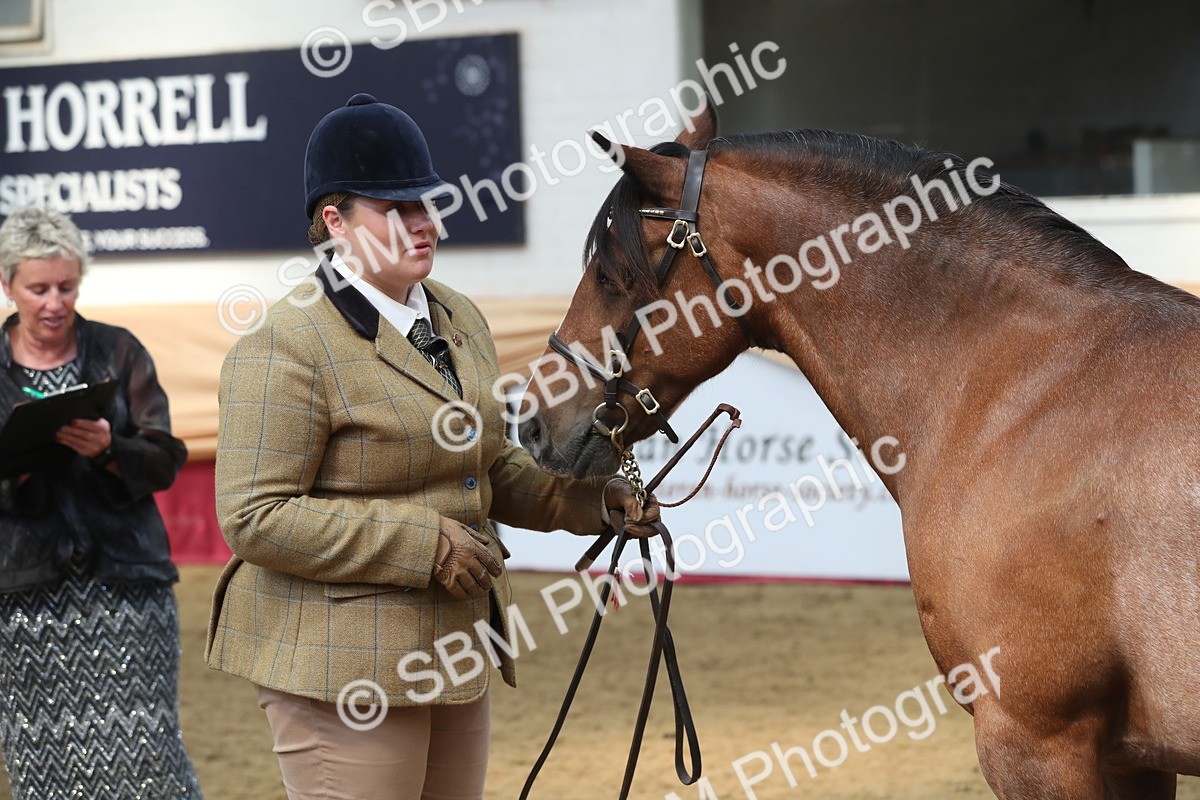 SBM_15331 - Class 501 M&M IH Supreme Final