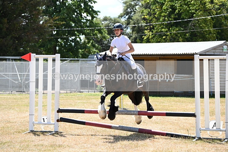 WJ6_5974 - Class 13 Novice 60cm
