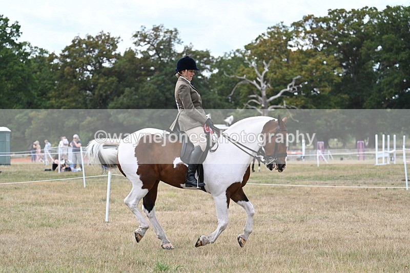 WJ7_5652 - Class 12 Ridden Cob