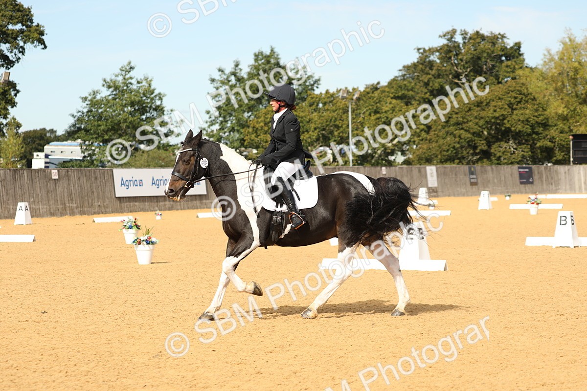 SBM_22211 - D17 - Grand Tour Championship - Novice 27