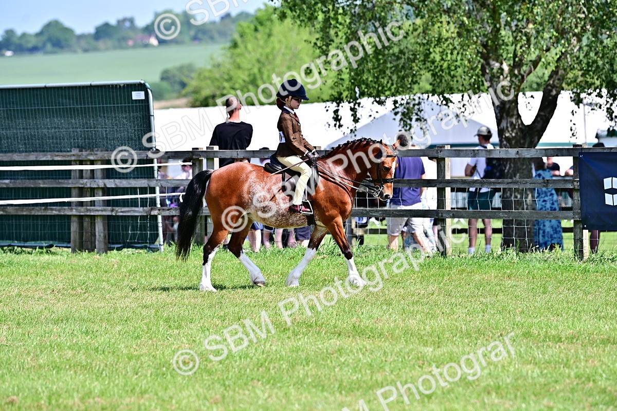 SBM_13867 - Class 95-97 - BSPS LHS Performance Ponies