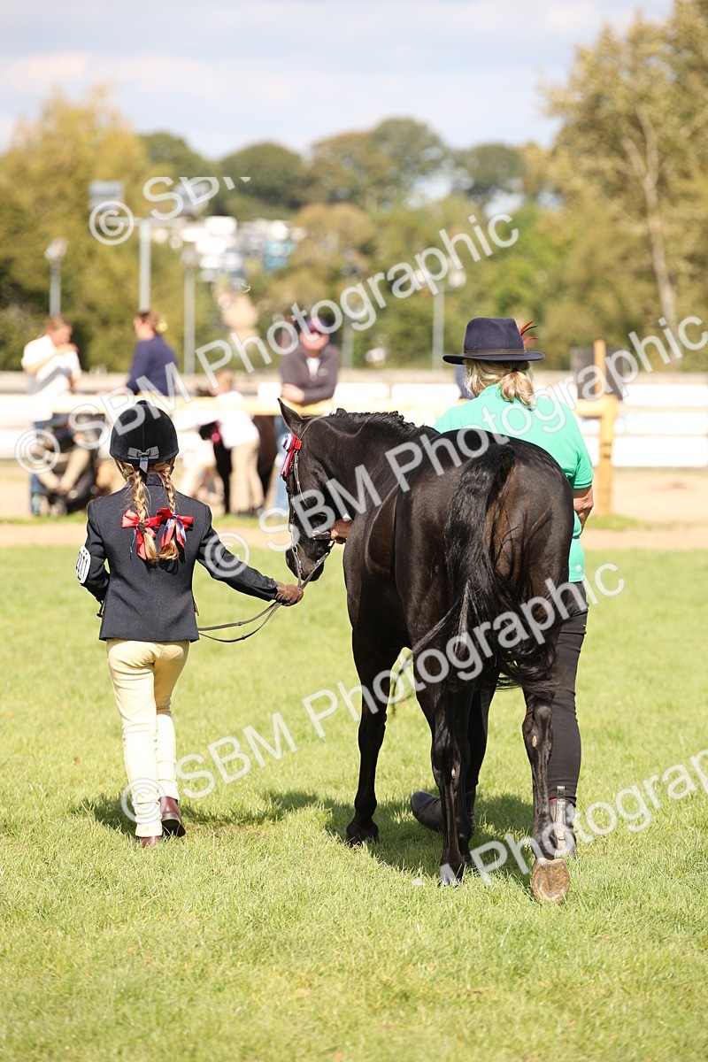 SBM_44459 - S24 - Young Veteran in hand