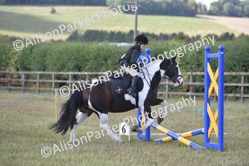 20250831-0466 - Class 7 - Absolute Novice 35cm