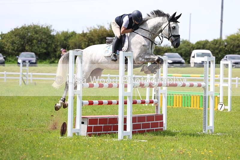 3E7A1391 - Class 12: Senior Foxhunter/1.20 open