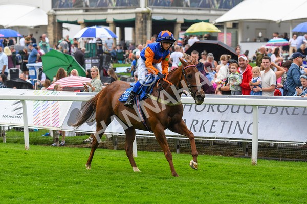 100923-Pony Race 1-0124 - Pony Race 1 12.25 The Dragon (TV and Film) Studios Pony Race 148cm & Under