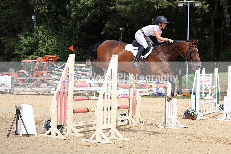 3E7A4332 - Class 8: Senior Foxhunter/1.20 open