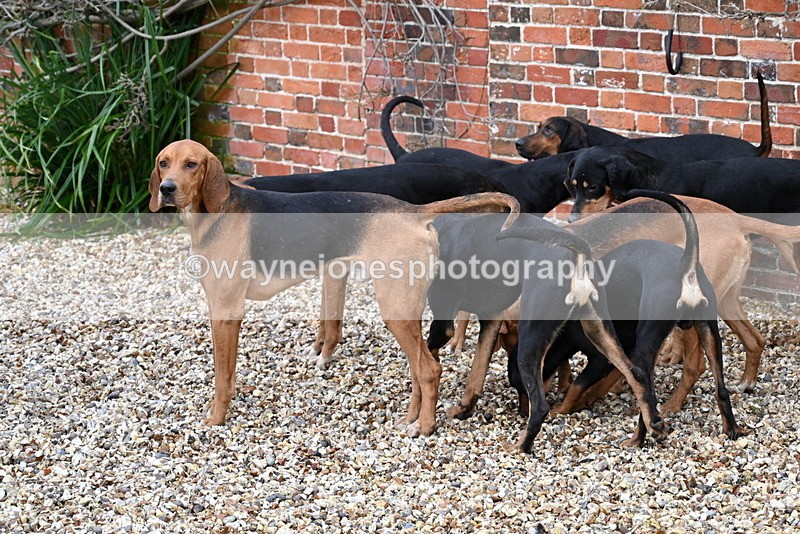 WJ7_9347 - Berks & Bucks Lead Rein - Hendred House 22-12-14