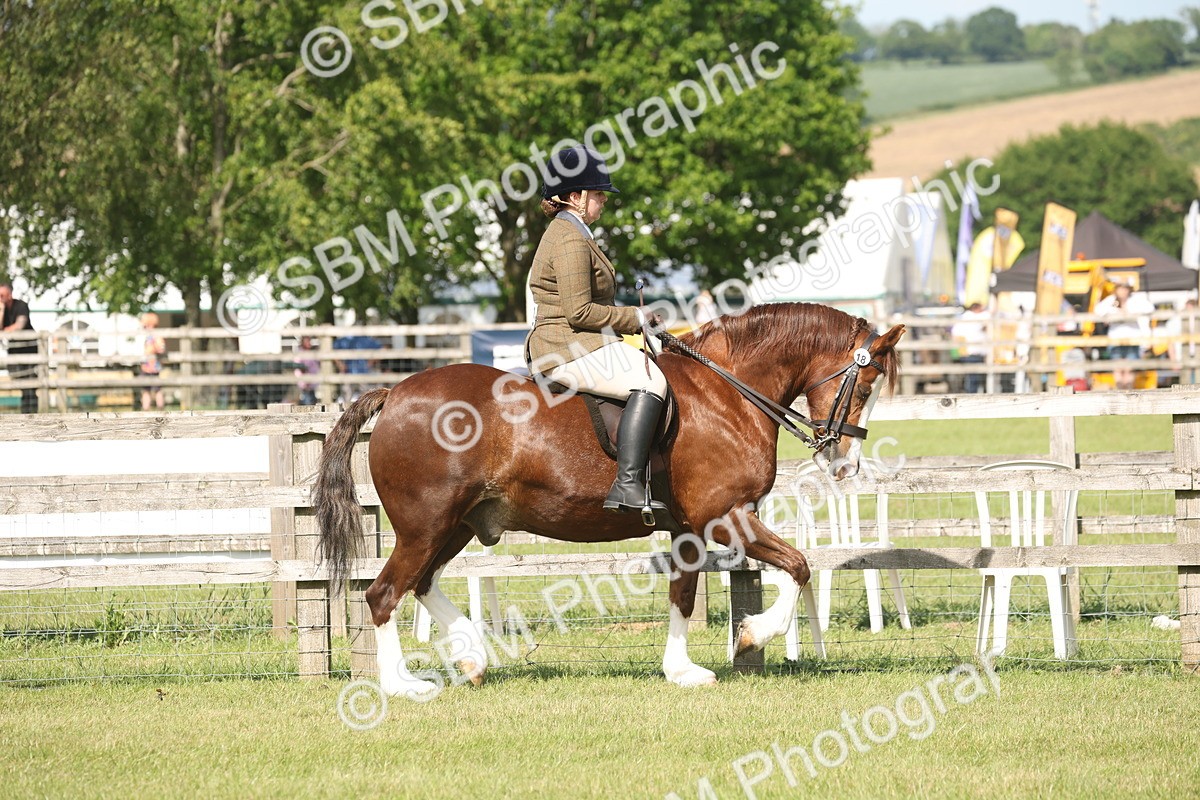 SBM_09537 - Class 33-38 - SSADL RIHS Qualifiers
