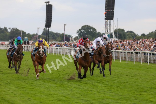 270724-Race 6-Ziggy-4795 - Race 6 5.10pm Sky Bet, For The Fans Handicap