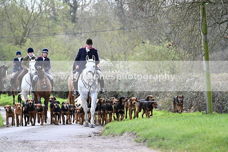 WJ7_9771 - Walk Home