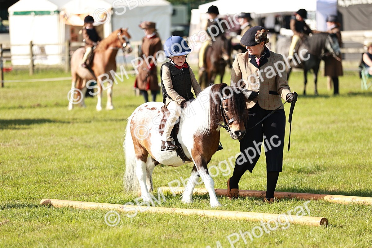 SBM_11181 - Class 106-107 - BSPS LIHS Working Sports Pony