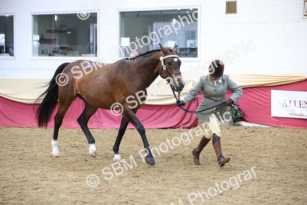 SBM_23645 - class 906 - Supreme Final - Ridden Pre Vet
