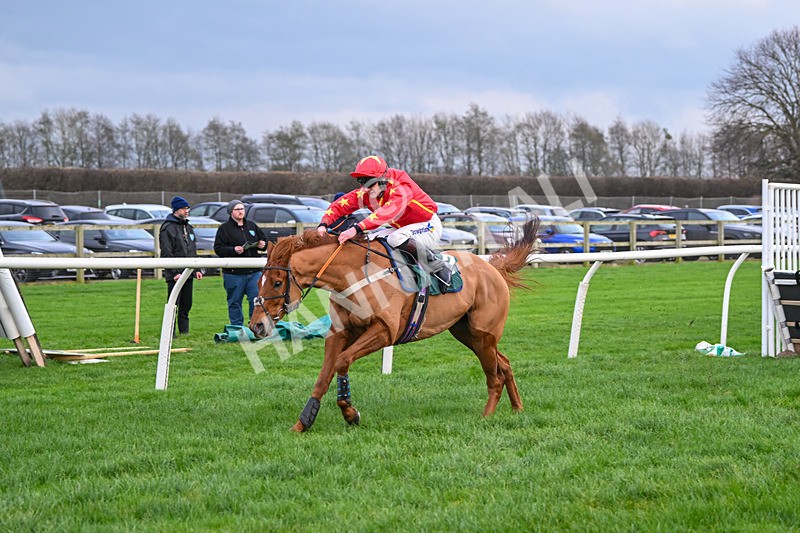 171224-Race 4-Wise Eagle-3321 - Race 4