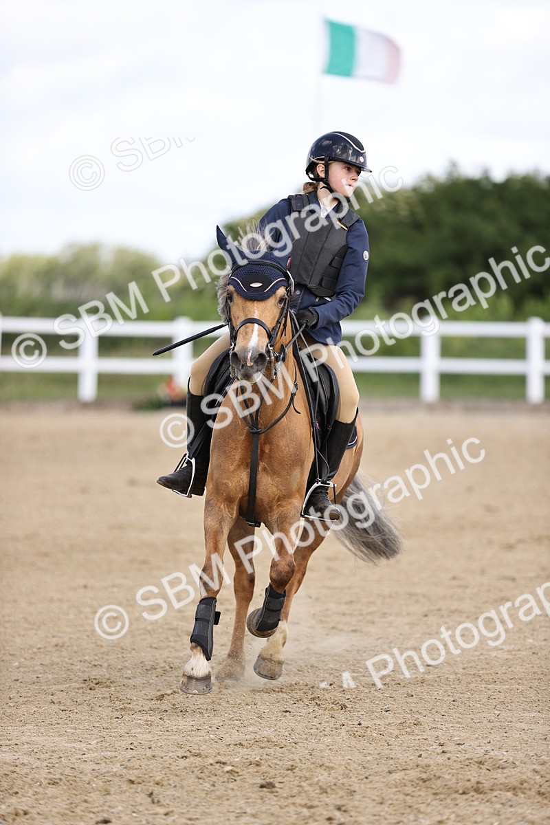 SBM_007453 - Class 2 - 80cm showjumping