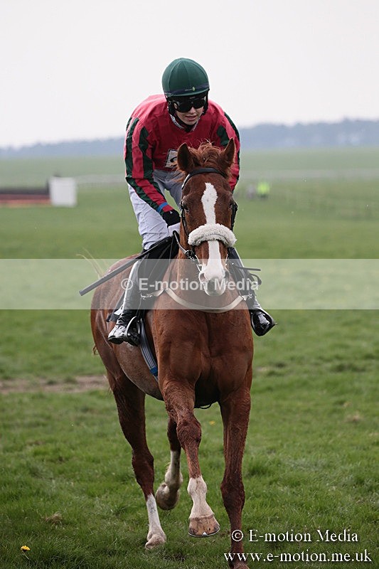 PtP 210418 240 - South & West Wilts Point-to-Point Larkhill 21/04/18