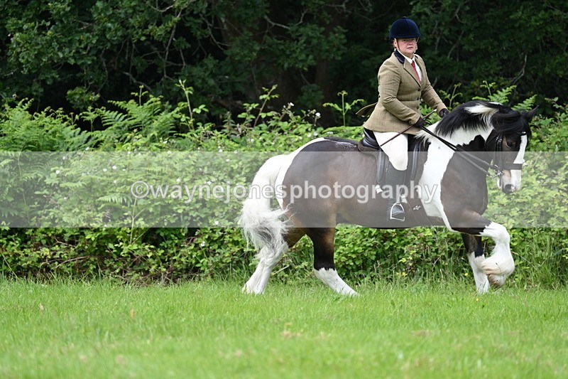 WJ7_2374 - Class 12A Coloured Class