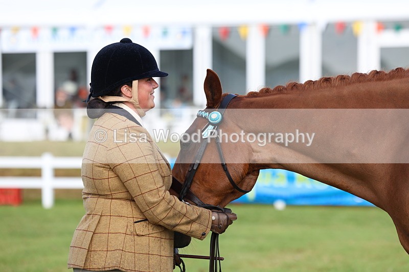 3E7A8352 - Class 2: Rising Star Large Hack/Riding Horse