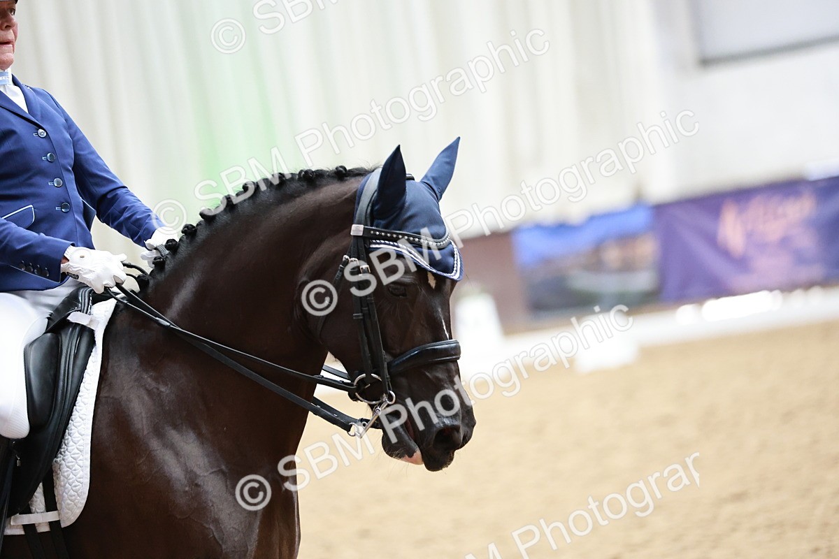 SBM_014199 - Class 7 - Ele FSM Bronze 12.12.13.08
