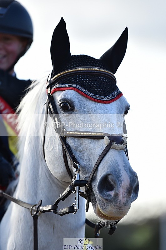 231014A-161810-06174 - Cls 16 1.10m Grand Prix