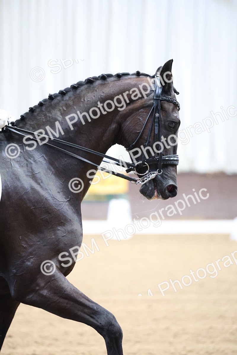 SBM_004319 - Class 9 - FEI Inter 1 Gold - 15.55-16.43