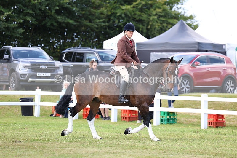 3E7A9654 - Class 5: Rising Star Lightweight/Heavyweight Cobs