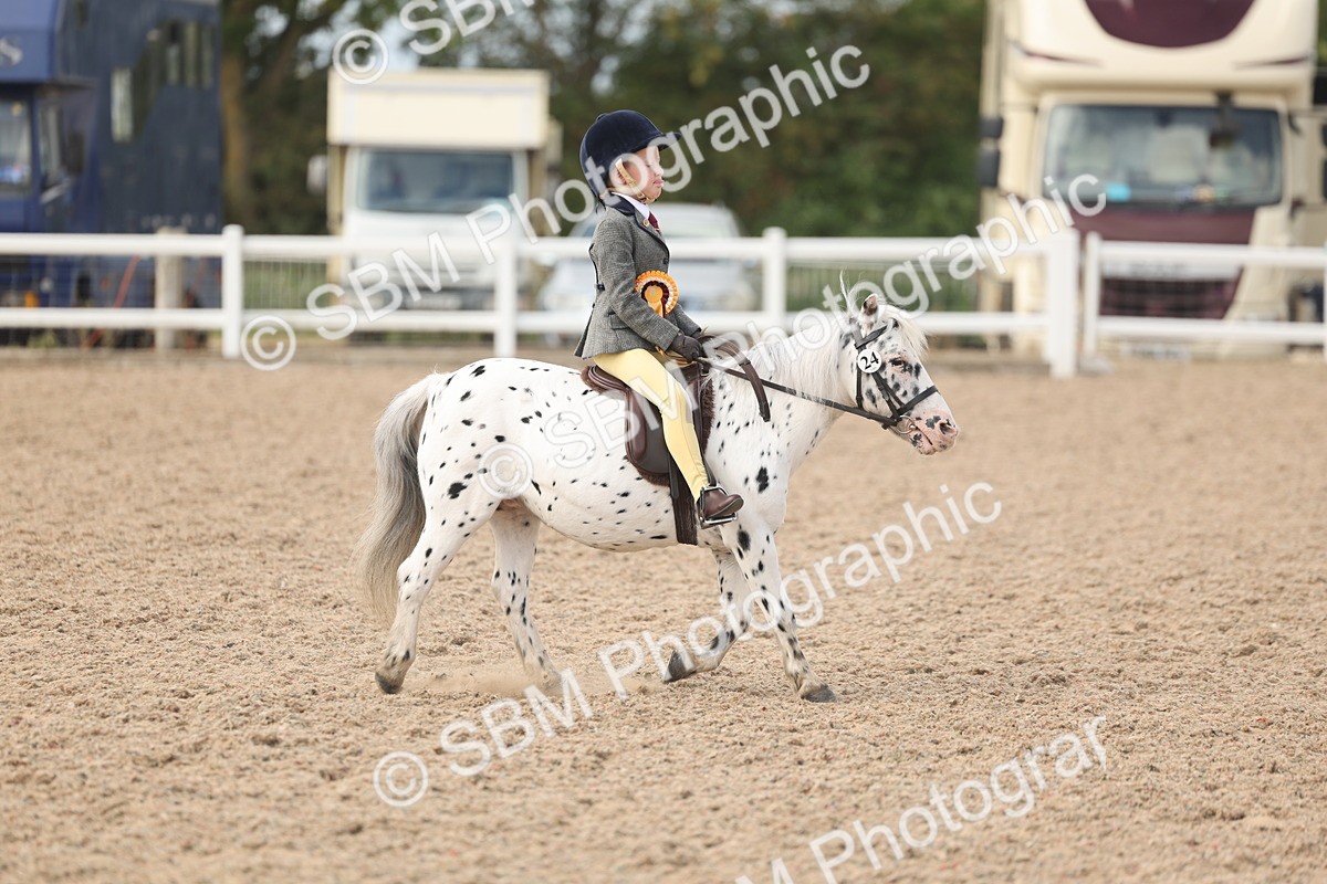 SBM_15941 - Class 310 - First Ridden Pony