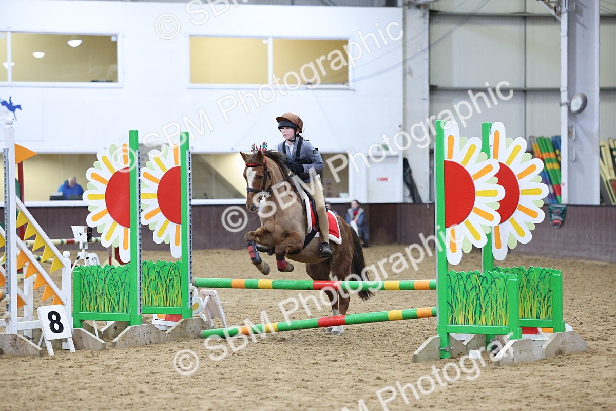 SBM_001095 - Class 3 - Christmas Tree Stakes - 60cm