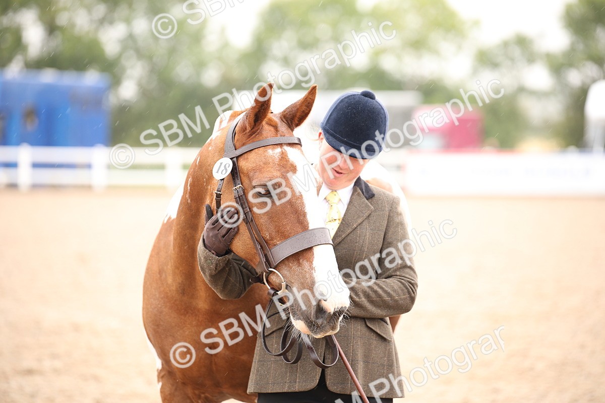 SBM_20220 - Class 703 - IH  Coloured