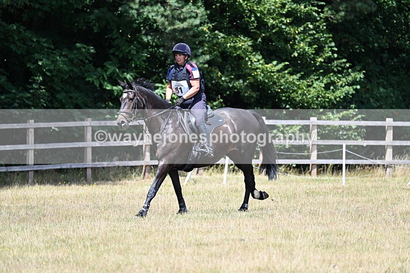 WJ7_1211 - 60cm Time 12:53 to 13:19