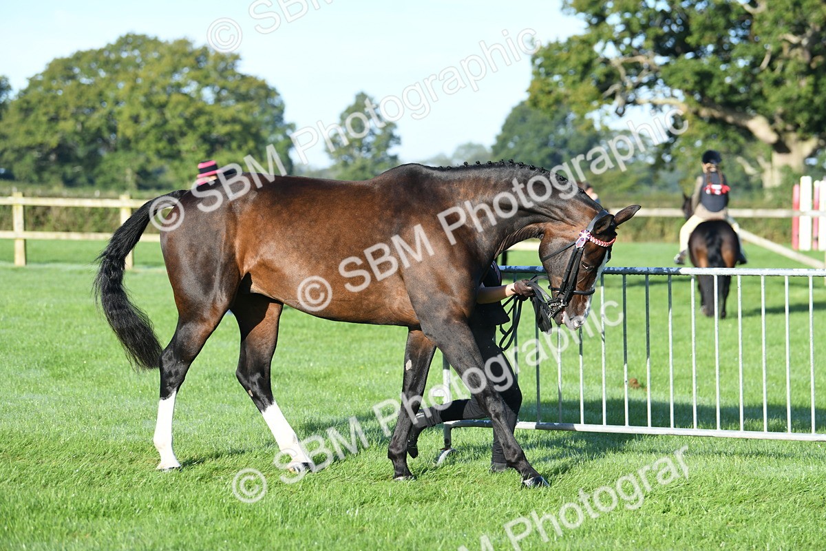 SBM_32876 - S15 - Condition & Turnout In Hand