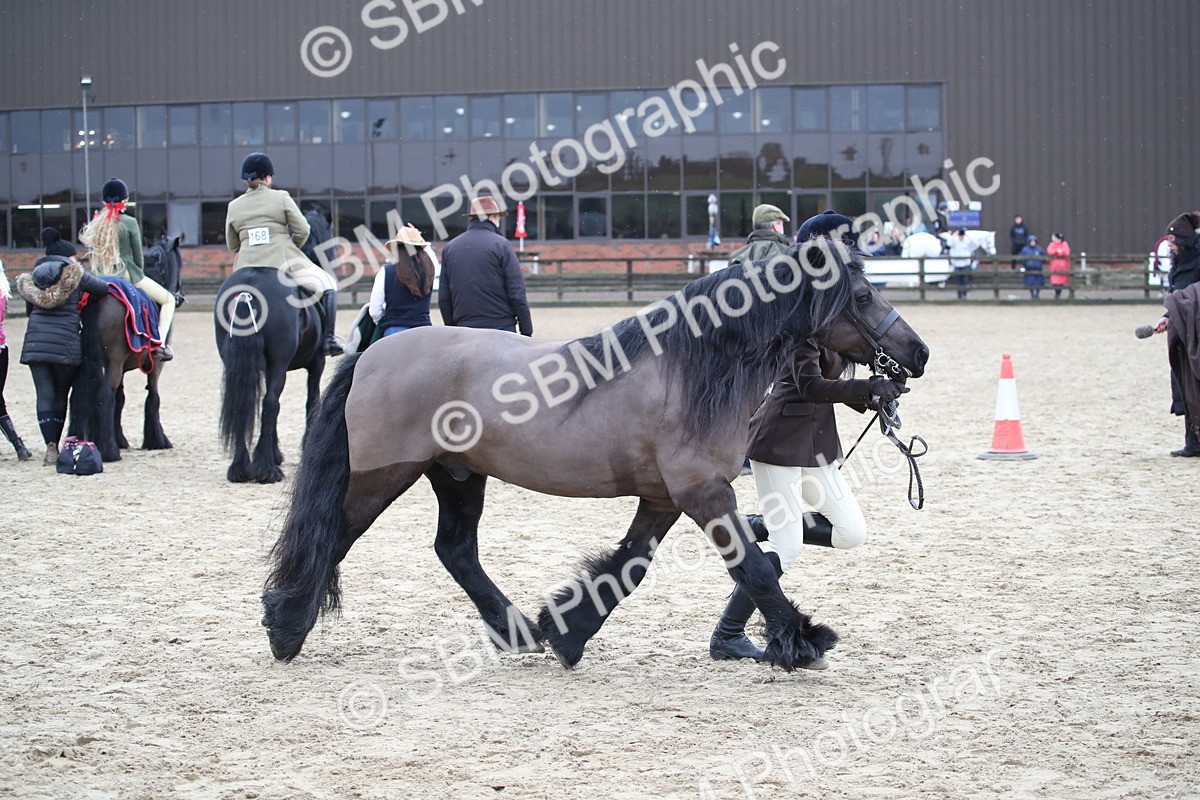 SBM_006403 - Class 10-13 - RIHS Small Large Breeds