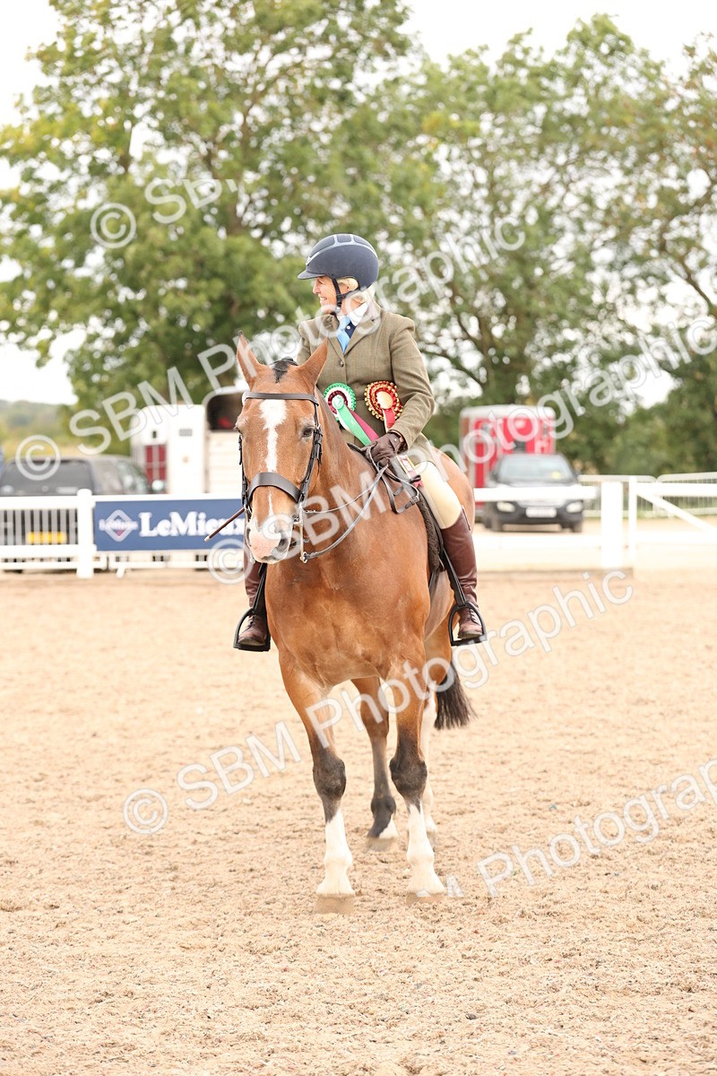 SBM_19605 - Class 215 - Ridden Show cob