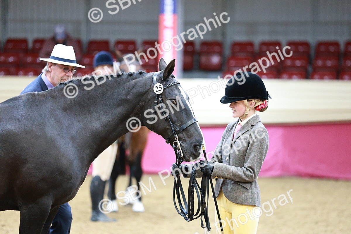 SBM_00228 - Class 1A - Area IH Diamond