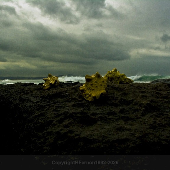  - STILL LIFE IN LANDSCAPE